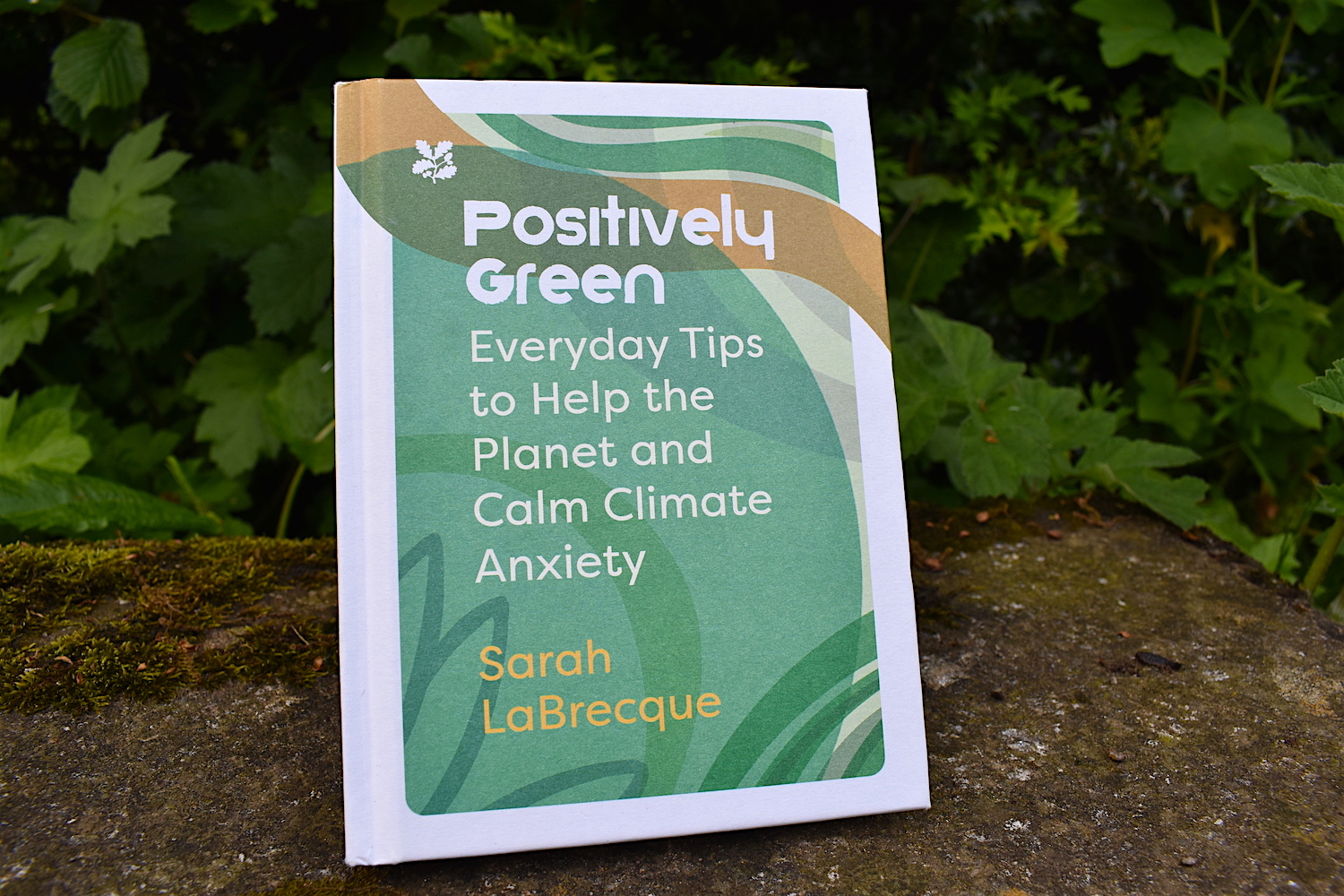 Book review Positively Green by Sarah LaBrecque Little Green Space
